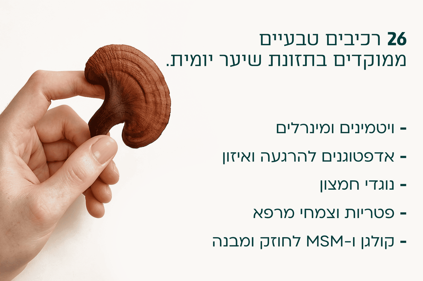 פייבר 04 - לאישה