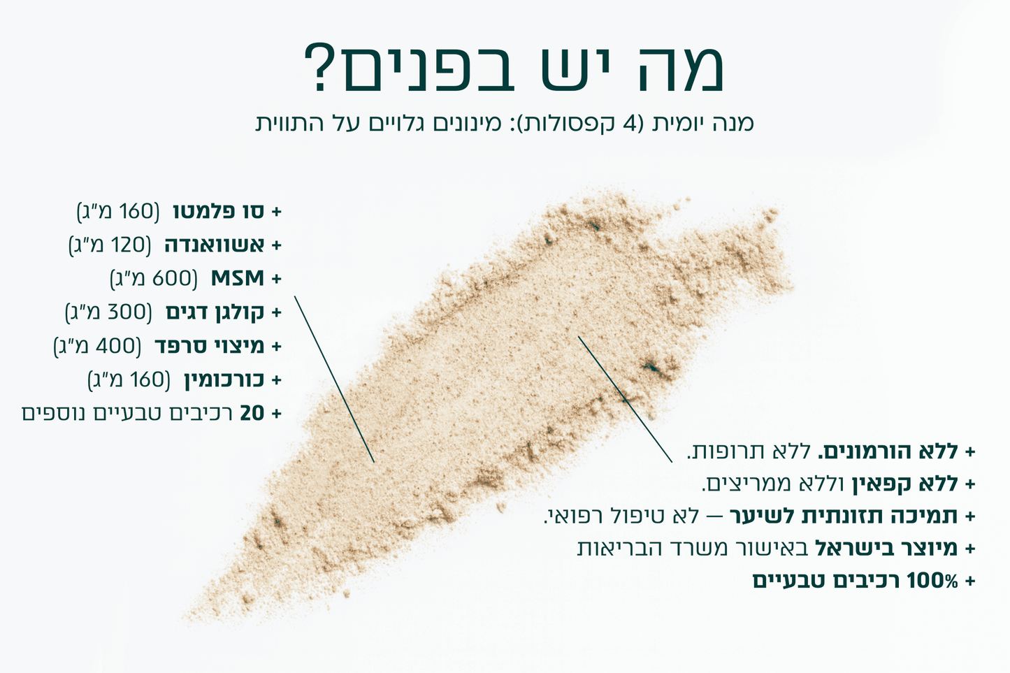 פייבר 04 - לאישה