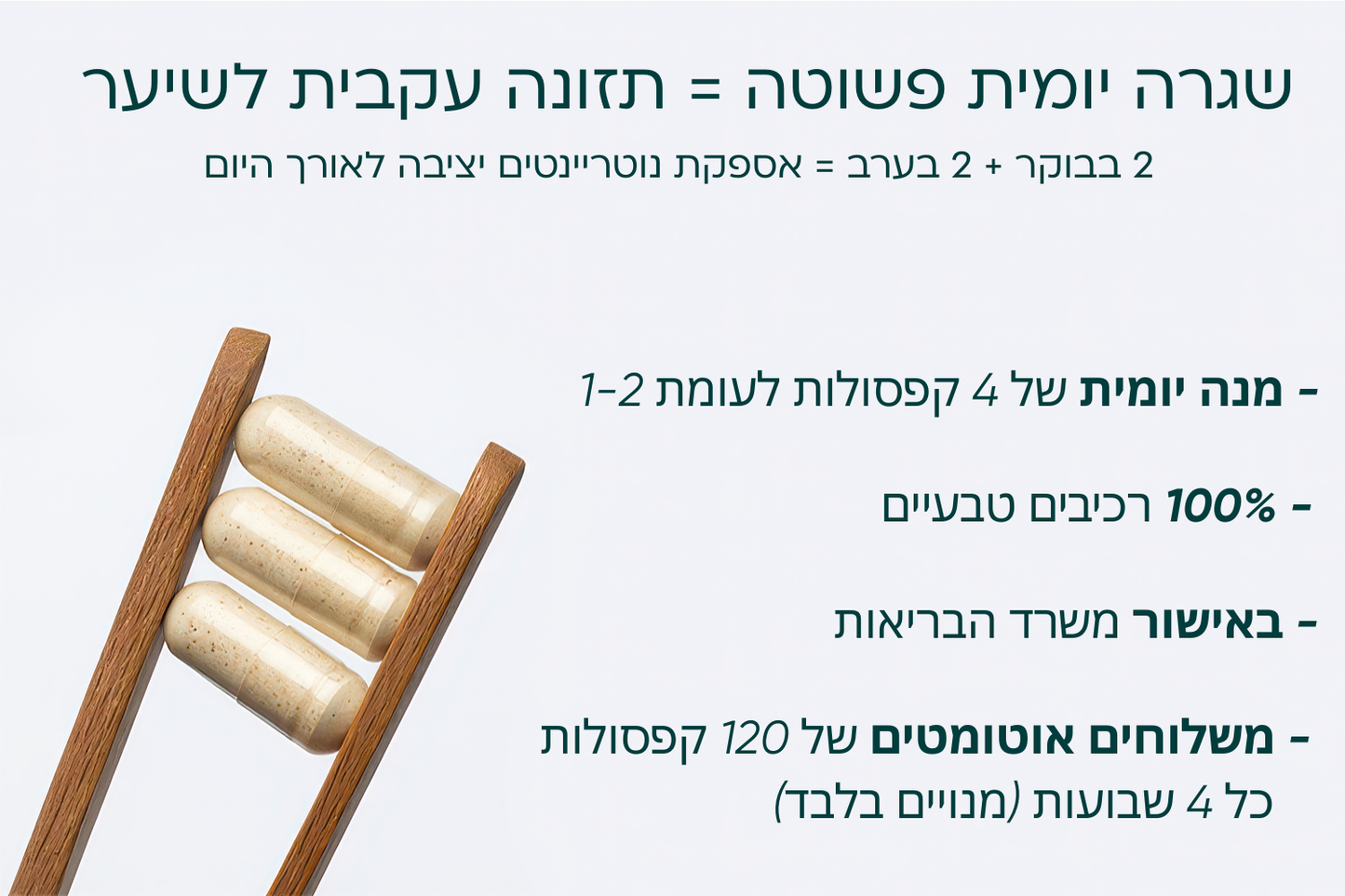 פייבר 04 - לאישה